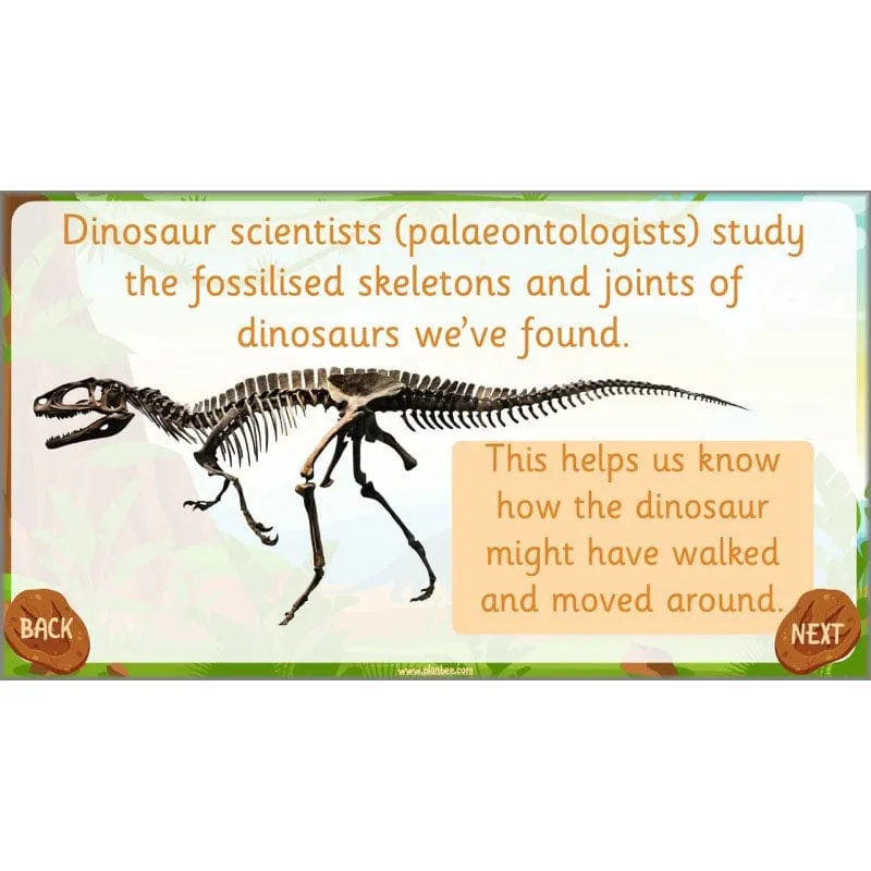 Dinosaurs Topic