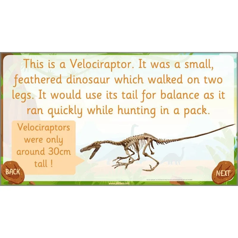 Dinosaurs Topic