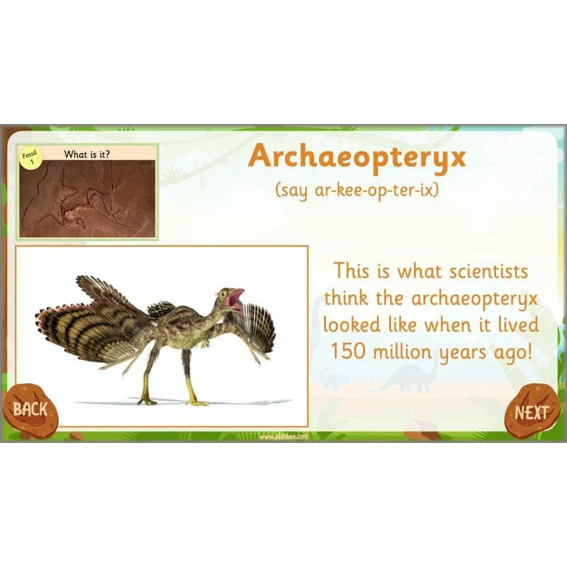 Dinosaurs Topic
