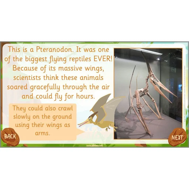 Dinosaurs Topic