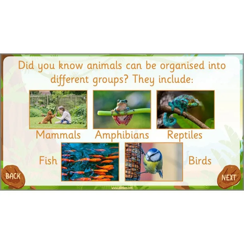 Dinosaurs Topic