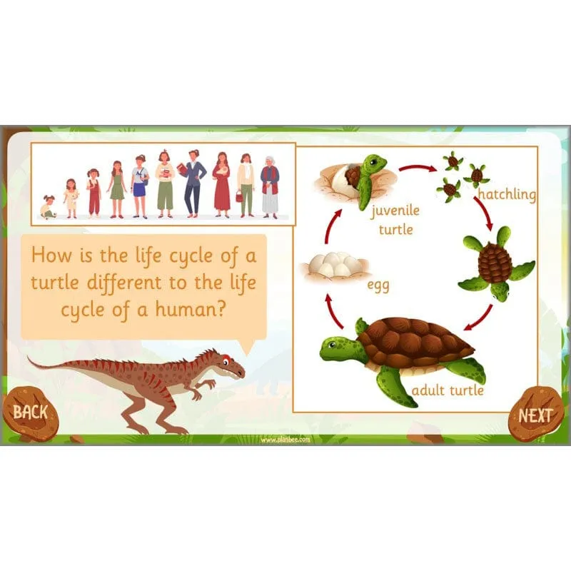 Dinosaurs Topic