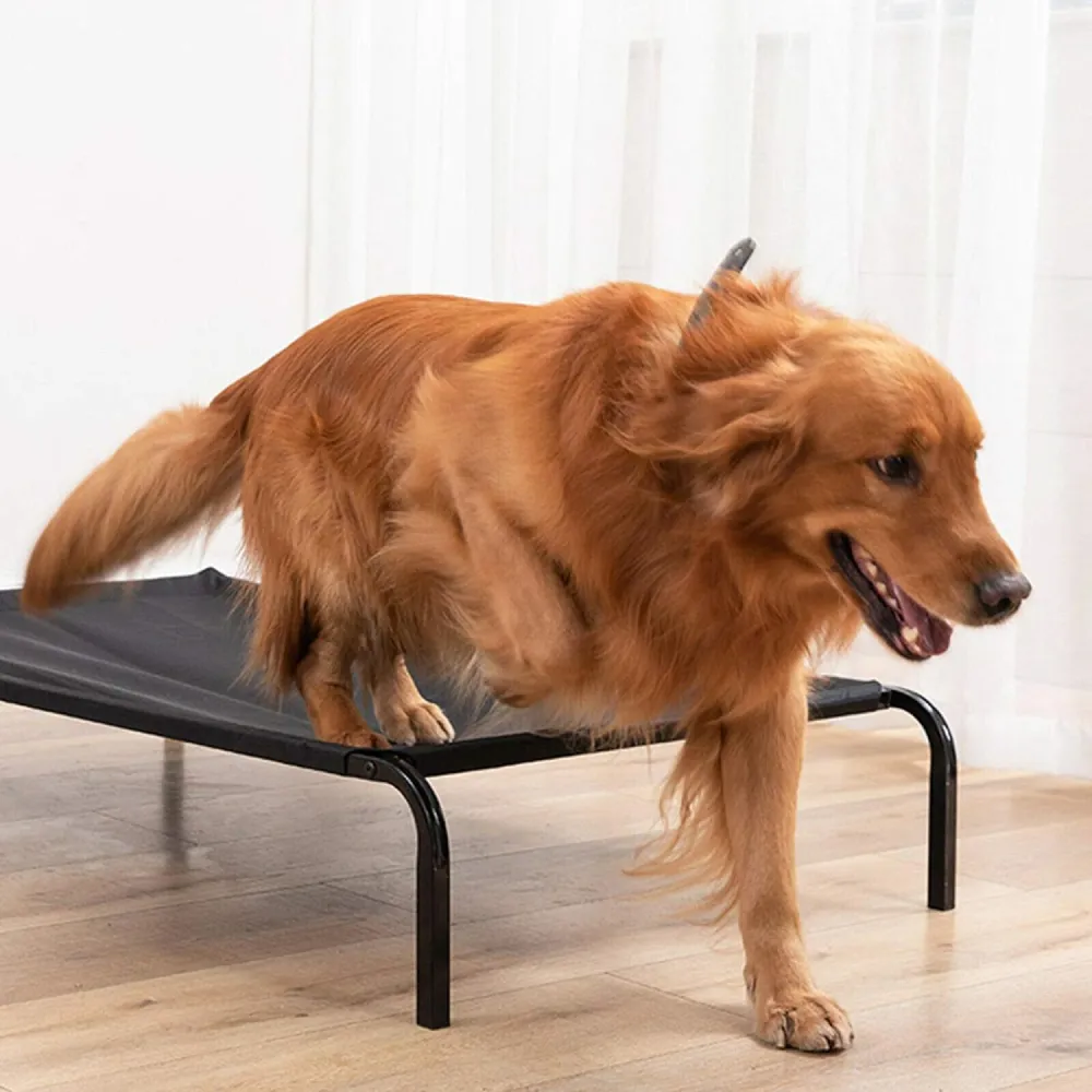 Fluffy's Pawsome Waterproof elevated Sides Camping Bed for Dogs (Black)
