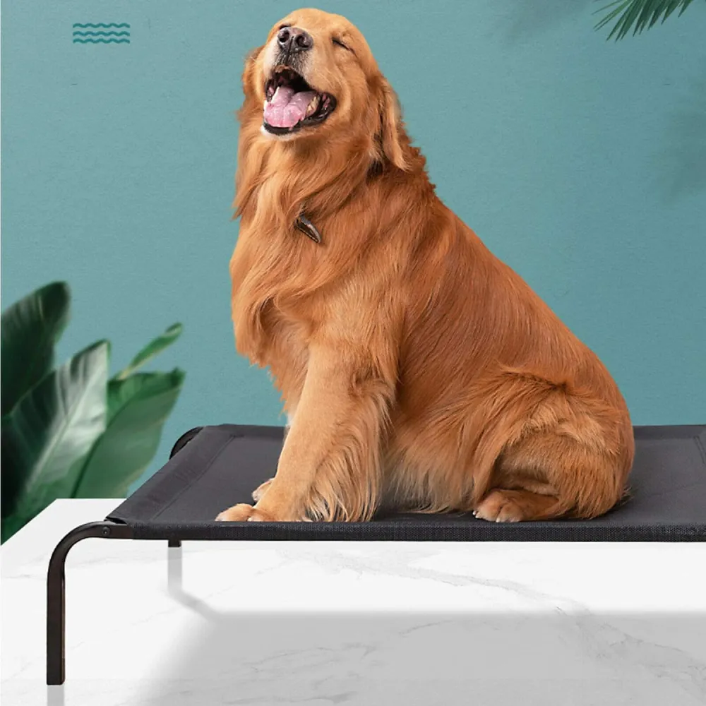 Fluffy's Pawsome Waterproof elevated Sides Camping Bed for Dogs (Black)
