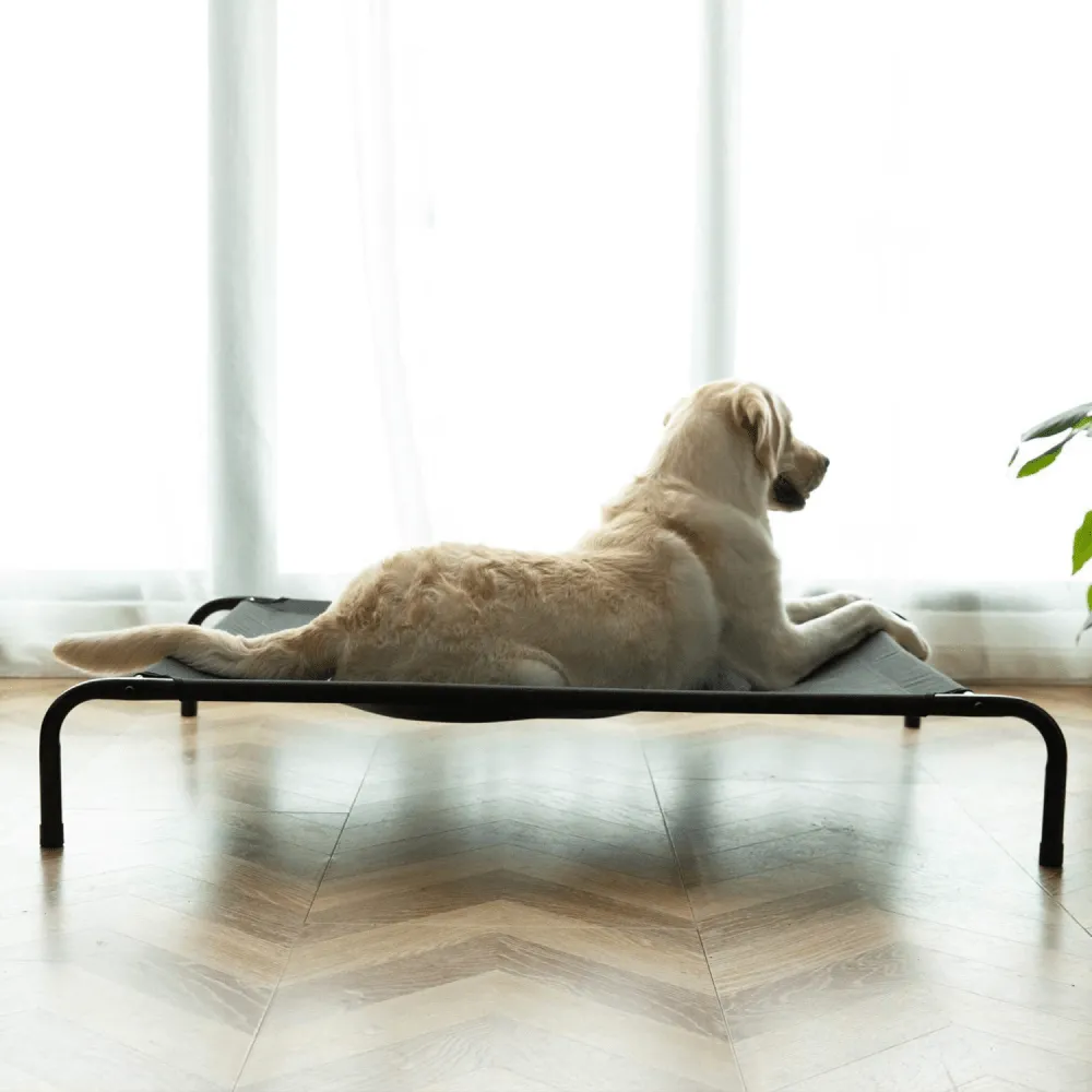 Fluffy's Pawsome Waterproof elevated Sides Camping Bed for Dogs (Grey)
