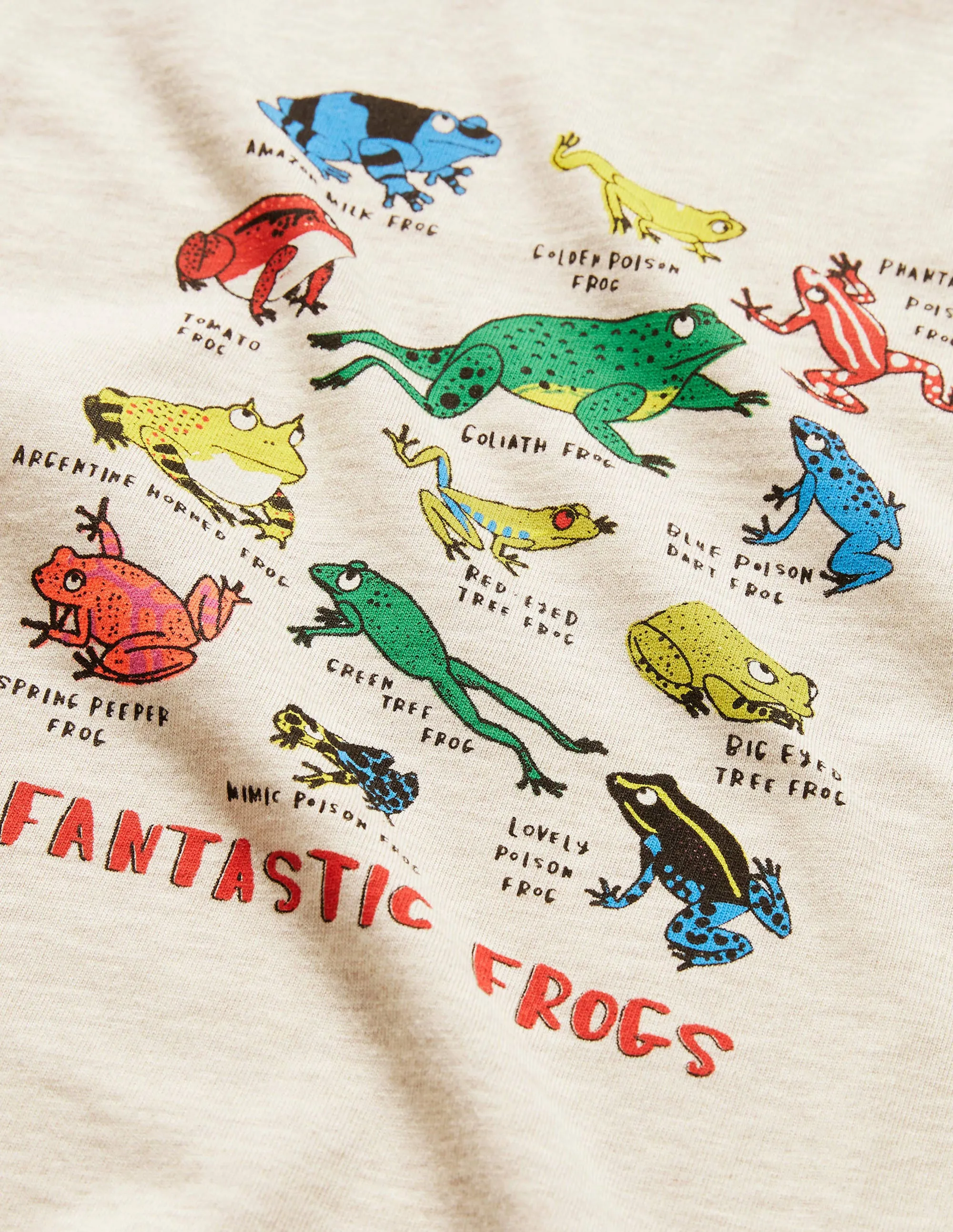 Graphic Grid T-shirt-Oatmeal Marl Frogs