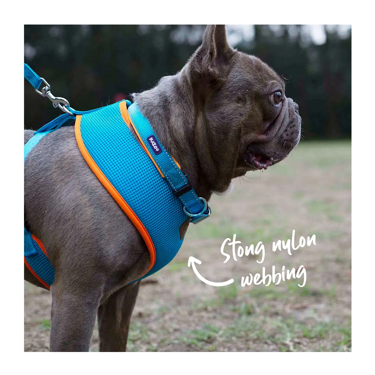 Kazoo Active Soft Walking Dog Harness Ocean Sunrise