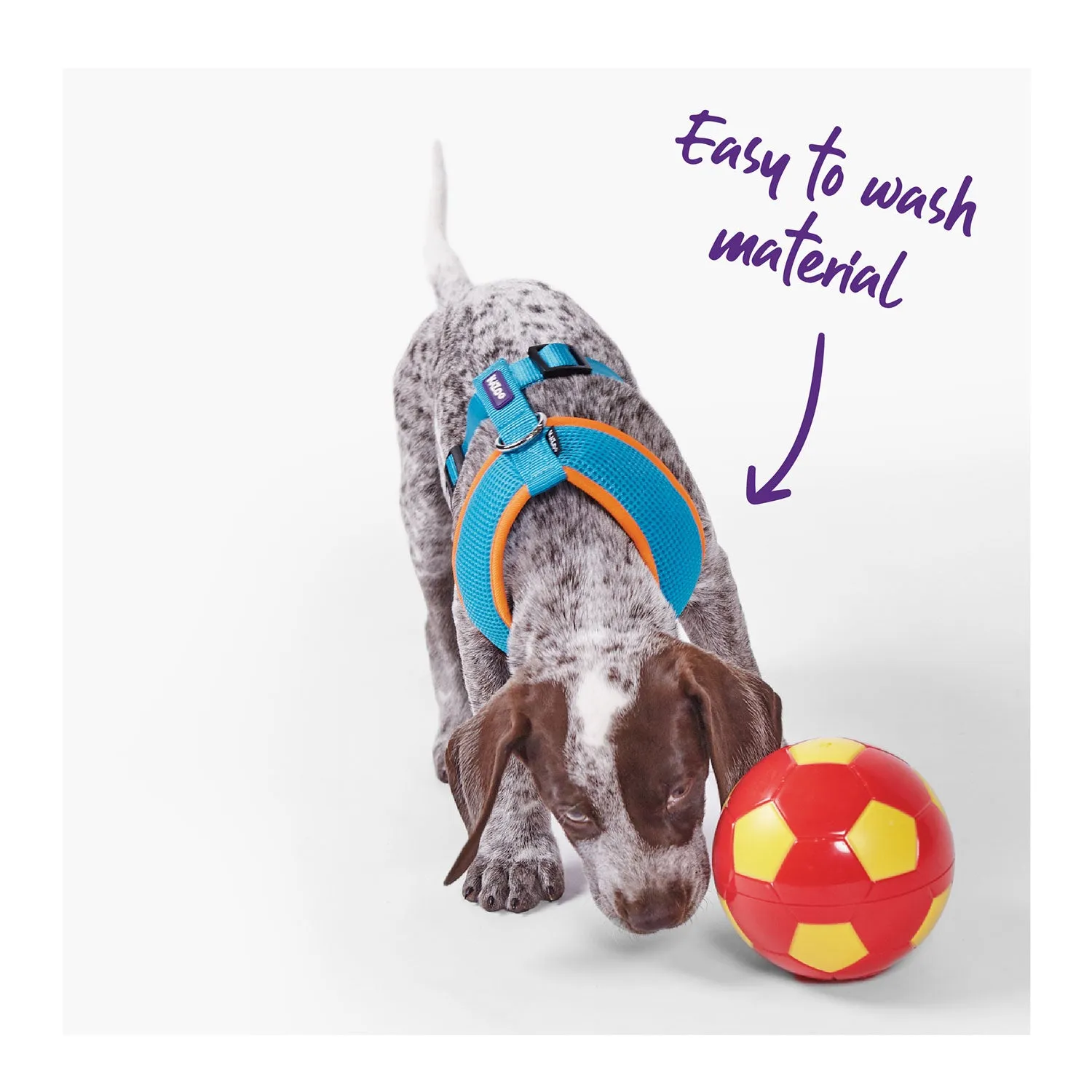 Kazoo Active Soft Walking Dog Harness Ocean Sunrise