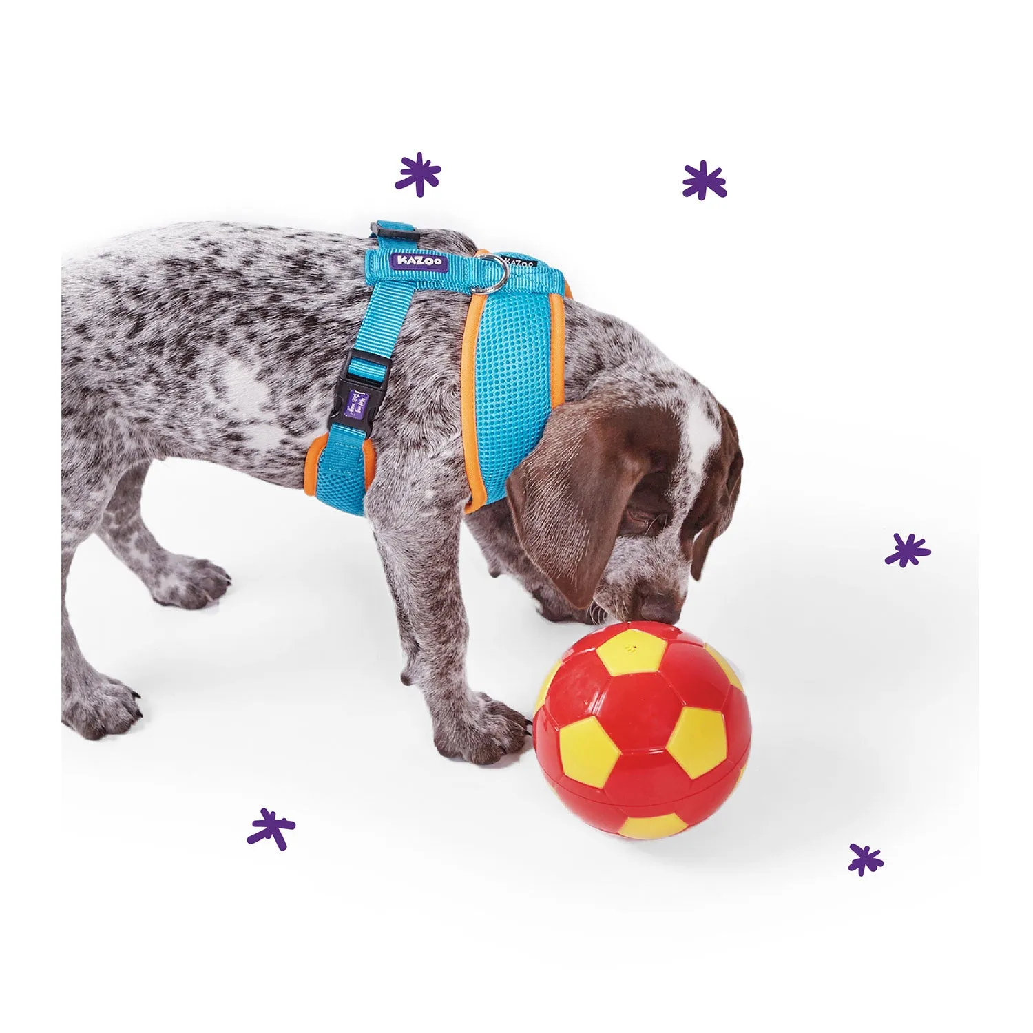 Kazoo Active Soft Walking Dog Harness Ocean Sunrise