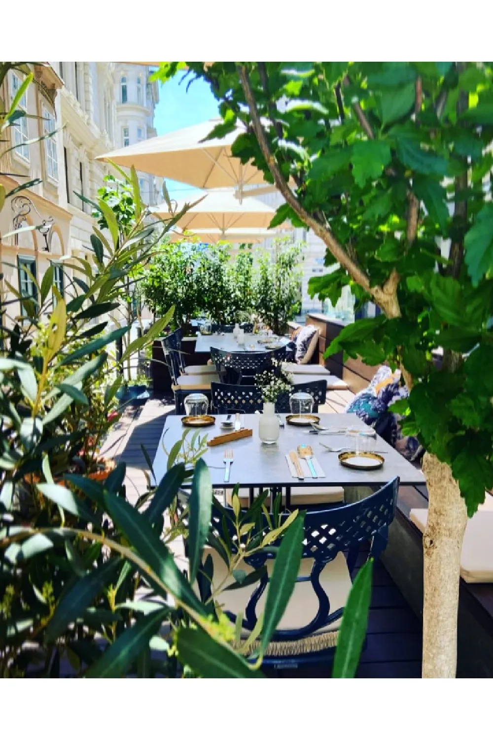 Square Outdoor Umbrella (7’ 6.6”) | Umbrosa Paraflex Duo