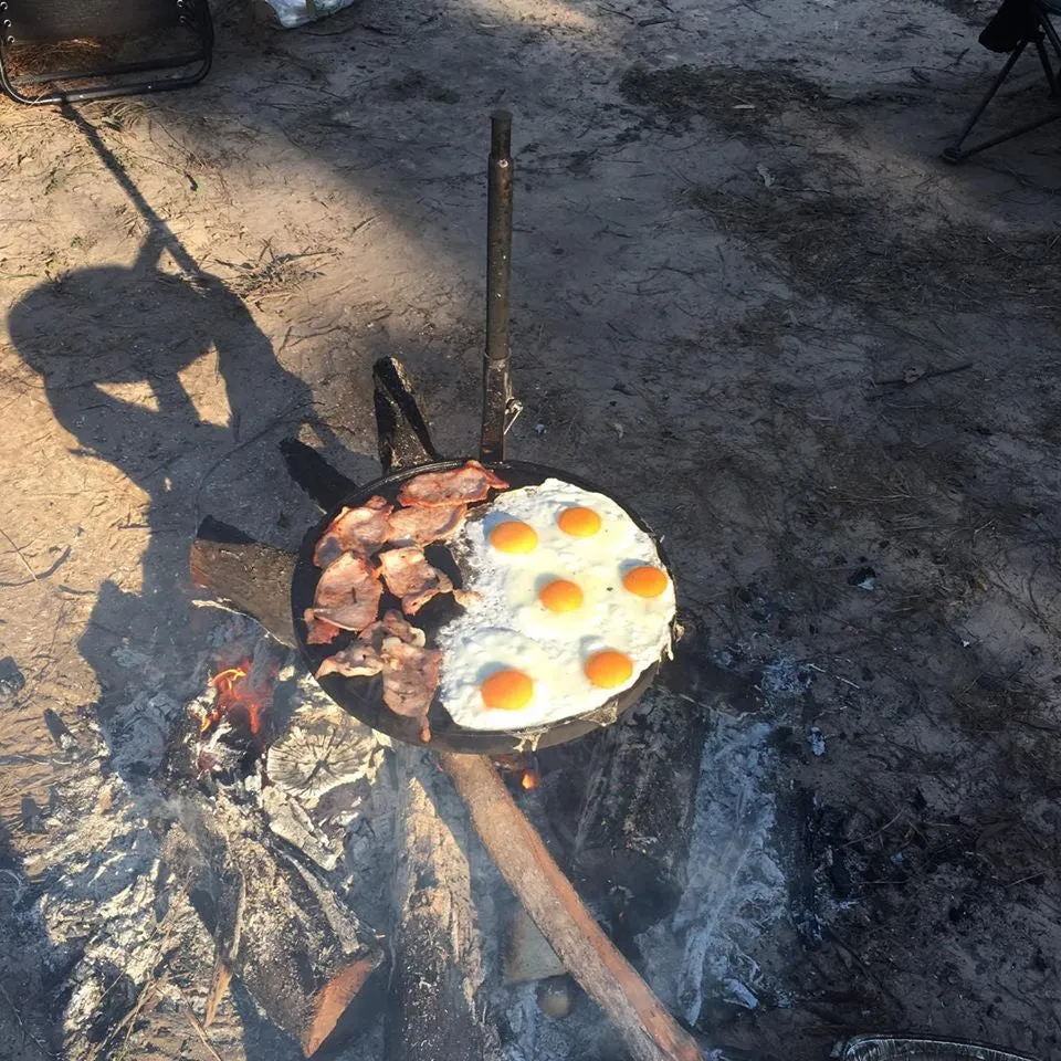 Swinging Hot Plate and Grill