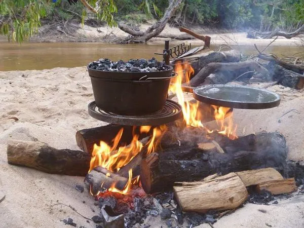 Swinging Hot Plate and Grill