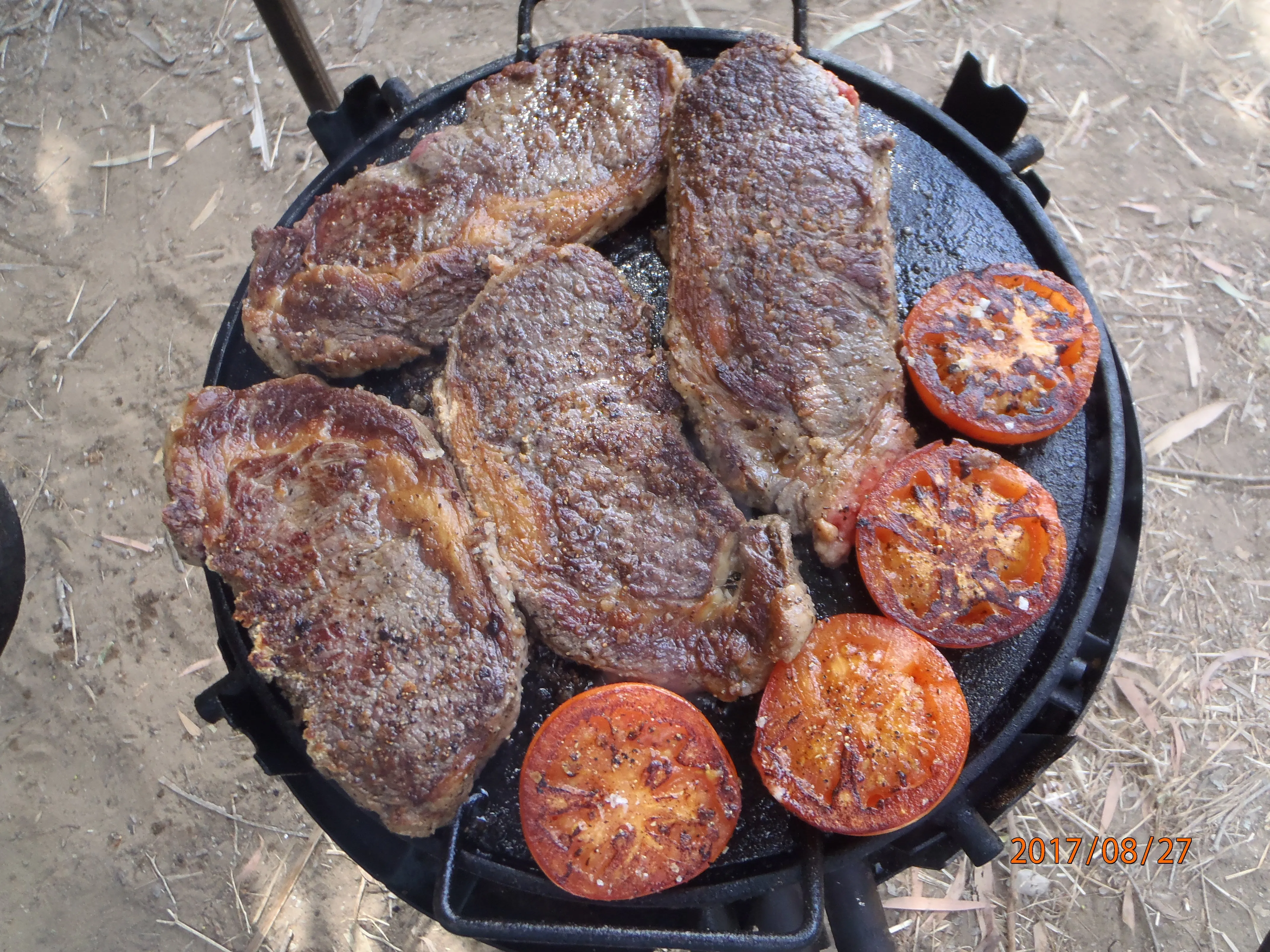 Swinging Hot Plate and Grill