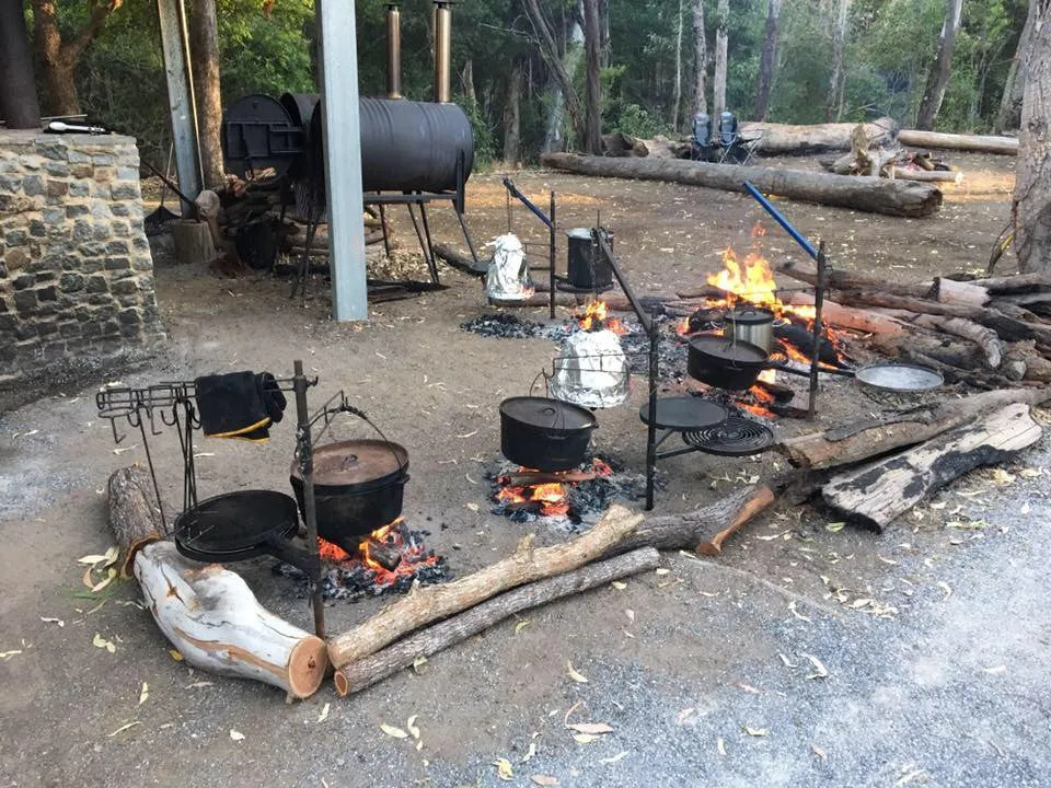 Swinging Hot Plate and Grill