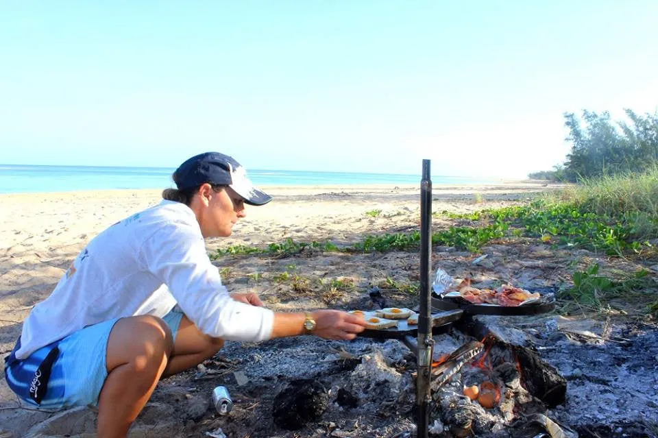Swinging Hot Plate and Grill
