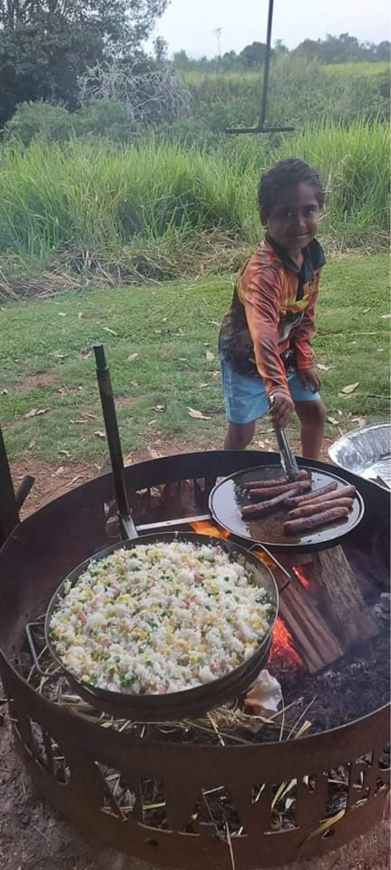 Swinging Hot Plate and Grill