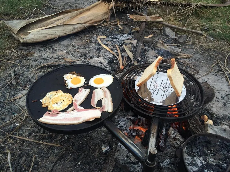 Swinging Hot Plate and Grill