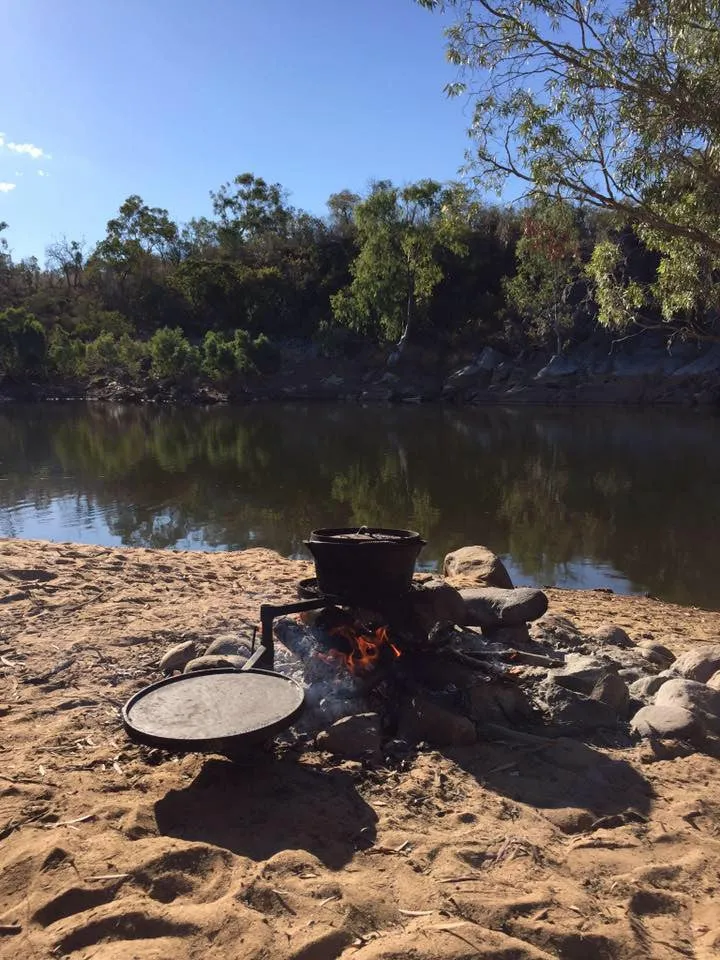 Swinging Hot Plate and Grill