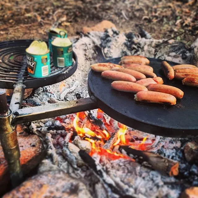 Swinging Hot Plate and Grill
