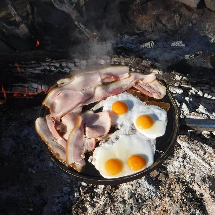 Swinging Hot Plate and Grill