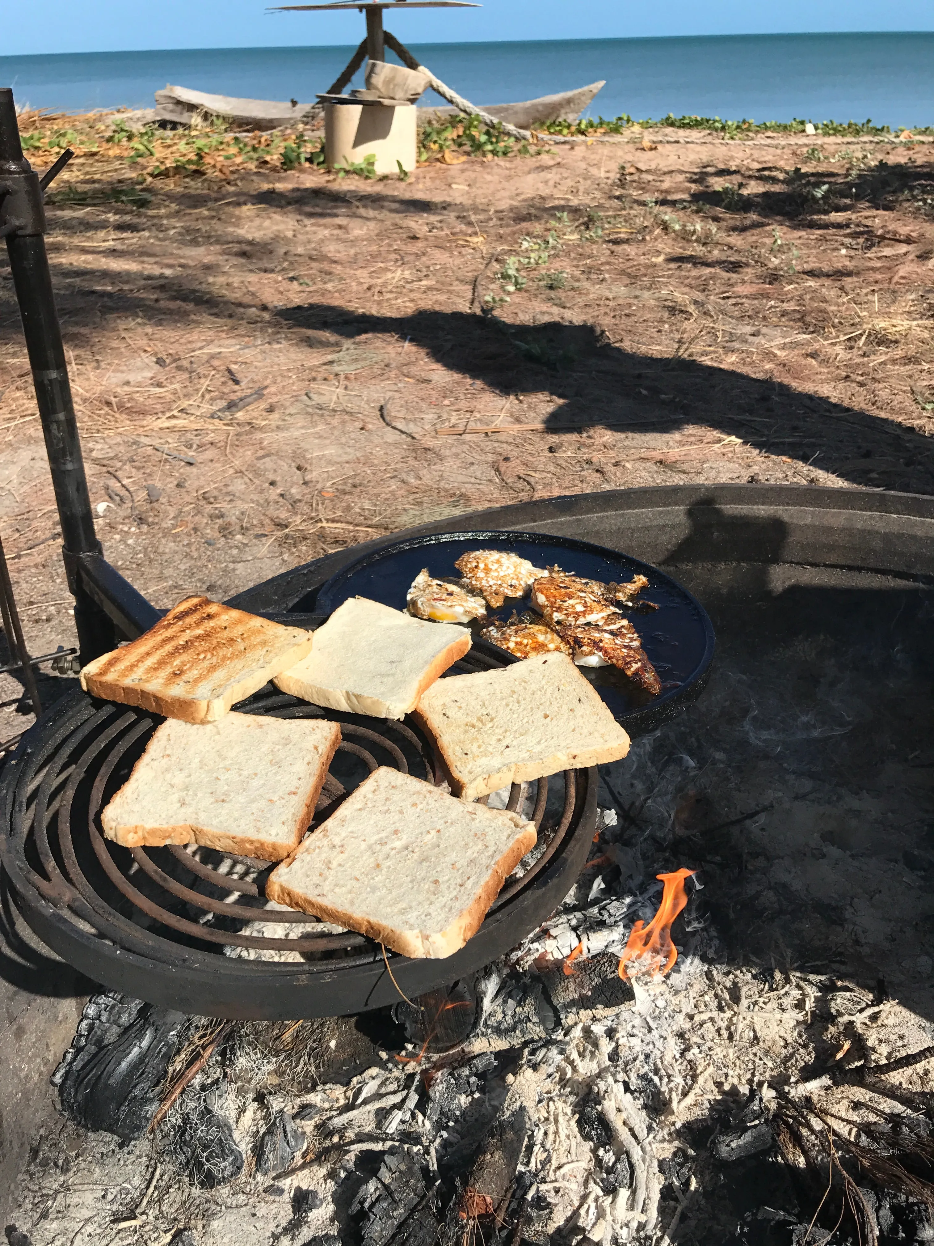 Swinging Hot Plate and Grill