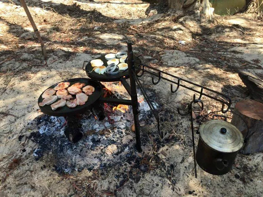 Swinging Hot Plate and Grill