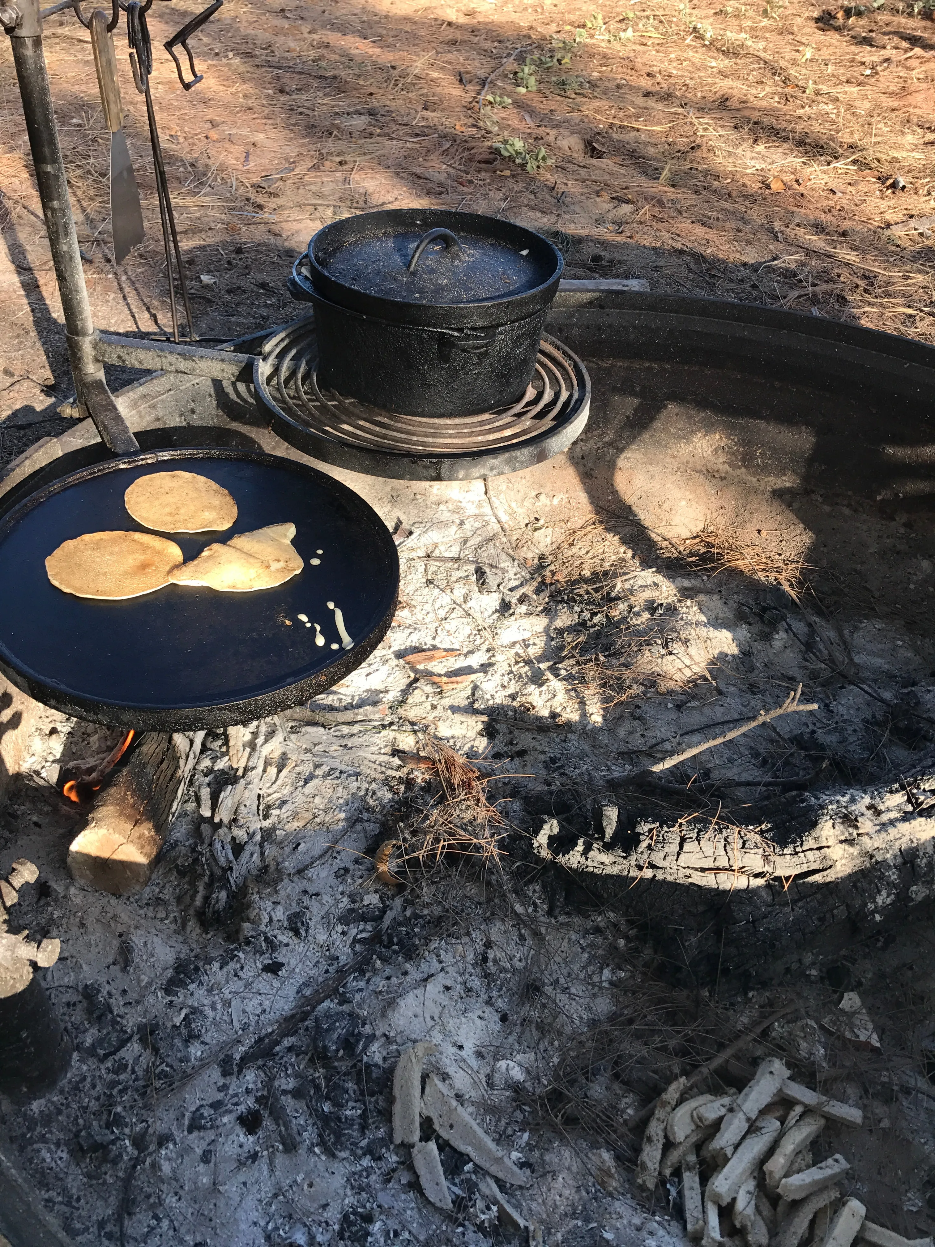 Swinging Hot Plate and Grill