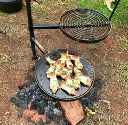 Swinging Hot Plate and Grill