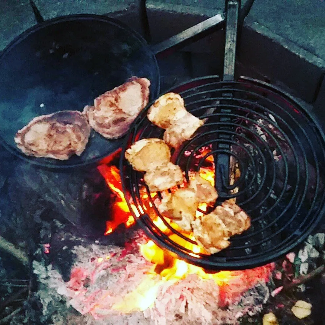 Swinging Hot Plate and Grill